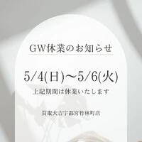 画像256